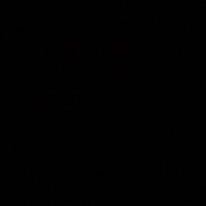 Meet your Posher, Dylan